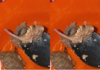 Viral Video Bakso Diduga Terbuat dari Daging Tikus, Buntut Panjang Menjijikkan Auto Kelihatan Saat Hendak Dimakan, Warganet: Langsung Enek!