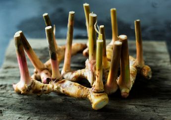 Anjurkan Suami Minum Air Rebusan Lengkuas, Besoknya Istri Pasti Puas dan Ketagihan!