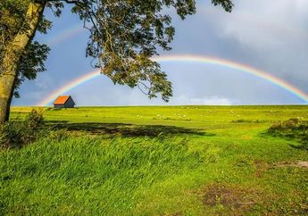 Arti Mimpi Melihat Pelangi Ternyata Menyimpan Makna Positif, Ada Kaitan dengan Masalah yang Segera Teratasi, Apa Itu?