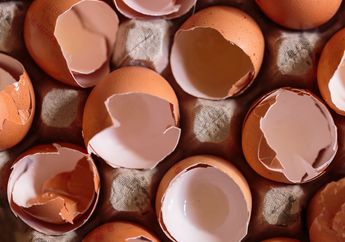 Jangan Lagi Buang Kulit Telur, Penelitian Buktikan Khasiat Ajaibnya Bila Digunakan Untuk Hal ini