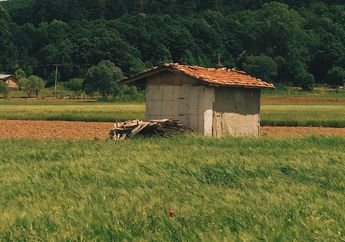 Syok sampai Teriak, Pria Ini Murka Gegara Pergoki Istrinya Dipangku Lelaki Lain di Gubuk Gelap Tengah Sawah, Pelaku Panik hingga Buru-buru Naikkan Celana