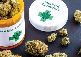 Meski Legal, Ternyata Bukti Ilmiah Ganja untuk Medis Belum Jelas