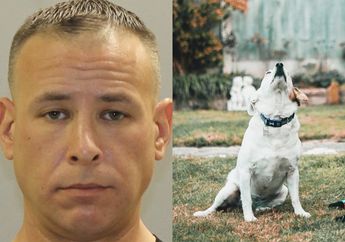 Pria Tega Jadikan Anjing sebagai Pemuas Nafsu, Polisi Syok Temukan ini Saat Geledah Rumahnya