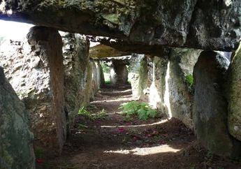 5 Shio Paling Kolot, Isi Pikirannya Seperti Terjebak di Zaman Batu