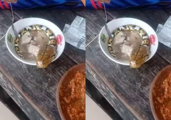 Pria Tua Santai Makan Hidangan Ular Utuh di Dalam Mangkok, Bikin Auto Syok hingga Menyesal Sudah Nonton Videonya