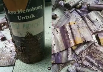 Viral Seorang Perempuan Syok Uang Tabungan untuk Beli Motor Habis Dimakan Rayap, Bank Indonesia Beri Saran Ditukarkan Saja Asal Penuhi Syarat Ini