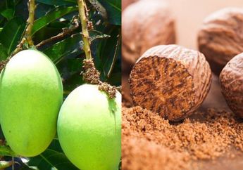 Ajaib! Modal Rebus Mangga dan Pala, Bikin Kamar Tidur Wangi Berhari-hari, Begini Caranya