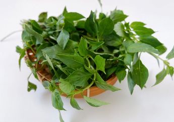 Kesal Dipaksa Mertua Buat Sebar Daun Kemangi Di Sudut Rumah, Setelah Ikutan Coba 1 Keluarga Malah Jadi Bisa Tidur dengan Nyenyak, Ada Apa?