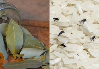 Heran Mertua Selalu Taruh Daun Salam di Dalam Beras, Saat Coba Sendiri di Rumah Wanita Ini Malah Dibuat Takjub, Nyesel Baru Tahu Sekarang