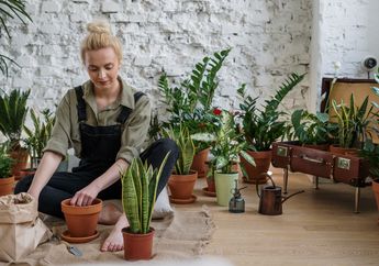 Bosan dengan Rutinitas Harian yang Monoton? Yuk Coba 4 Aktivitas Ini Bisa Menghilangkan Stres, Dijamin Pasti Seru