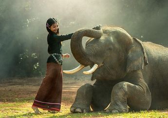 Hewan Termasuk ke Dalam Kelompok Apa dalam Klasifikasi Makhluk Hidup?
