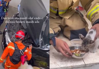 Viral Seekor Kucing Terjebak dalam Mesin Mobil, Petugas Damkar Sigap Lakukan Misi Penyelamatan dengan Bantuan Sosok Berjasa Ini