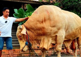 Heboh Irfan Hakim Kurban Sapi dengan Bobot Terberat di Indonesia, Arti Nama Wisanggeni Diungkap Suami Soimah, Ternyata Maknanya Gak Sembarangan