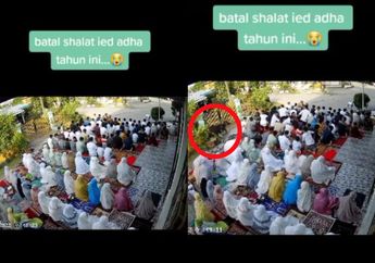 Viral Detik-Detik Hewan Kurban Lepas Hingga Bikin Jamaah Sholat Idul Adha Berhamburan, Netizen: Malah Batal Padahal Tinggal Salam Doang