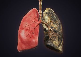 Caranya Mudah Banget! Ternyata Begini 4 Cara Membersihkan Paru-paru dari Polusi Udara dan Racun Akibat Asap Rokok!