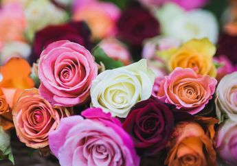 Sering Jadi Simbol Cinta saat Dimabuk Asmara, Ternyata Ini Arti Mimpi Bunga Mawar dalam Sebuah Hubungan yang Perlu Kamu Tahu