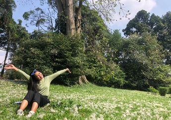 Salju Berguguran di Kebun Raya Bogor, Intip Kecantikannya dan Segini Harga Tiket Masuknya!