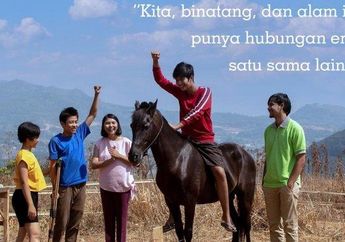 JO Sahabat Sejati, Film Indonesia Pertama yang Hadirkan Kuda Sebagai Tokoh Utama!