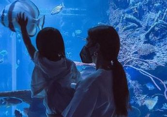 Pernah Jadi SPG Jakarta Fair Demi Sesuap Nasi, Artis FTV Ini Kini Bahagia Diperistri Produser dan Hidup di Australia, Rumah Elitnya Berhias Tanaman Palsu Jutaan Rupiah