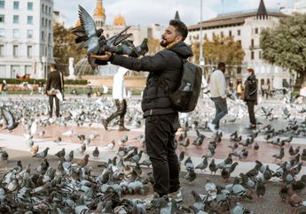 Arti Mimpi Menangkap Burung, Benarkah Pertanda Keberuntungan hingga Rezeki? Begini Maknanya Menurut Primbon Jawa!