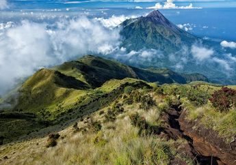 Cari Jawaban Kelas 5 SD Tema 1, Inilah Bentang Alam Pulau Jawa Secara Umum, Lengkap Disertai Contoh