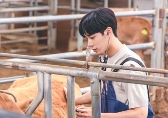 Info Drama Korea Chu Young Woo, Beberkan Perjuangan Jadi Dokter Hewan dan Sikap Joy Red Velvet