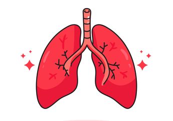 Cari Jawaban Soal SD Kelas 5 Tema 2 Tentang Organ Pernapasan Manusia, Lengkap Beserta Fungsinya!