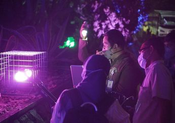 Kembangkan Program Eduwisata Malam GLOW, Kebun Raya Bogor Lanjutkan Penelitian Demi Menjaga Konservasi Tumbuhan dan Sejarah Budaya Sunda
