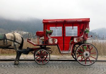 4 Arti Mimpi Naik Delman, Tentang Jalan Hidup sampai Nostalgia