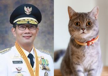Kelakuan Zalim Jenderal TNI yang Tembak Kucing di Lingkungan Sesko Bikin Netizen Ngamuk, Ridwan Kamil Tegas Wanti-wanti Hal Ini: Semoga Menjadi Pembelajaran