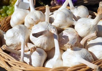 5 Efek Konsumsi Bawang Putih untuk Kesehatan, Bisa Turunkan Resiko Kanker Paru dan Perut Lho!
