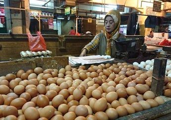 Daftar Harga Telur Ayam Terbaru se-Indonesia, Aceh Paling Murah Rp 23.967, Berapa di Daerahmu?