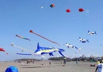 5 Arti Mimpi Melihat Festival Layang-layang, Ternyata Jadi Pertanda Hal Baik Ini, Simak Penjelasannya