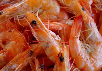 Selama Ini Rugi karena Selalu Buang Kepala dan Kulit Udang, Ternyata Manfaatnya Bisa Turunkan Berat Badan hingga Kolesterol, Begini Cara Mengolahnya