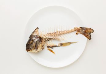 Bukan Minum Air, Begini Pertolongan Pertama untuk Atasi Duri Ikan Tersangkut di Tenggorokan!