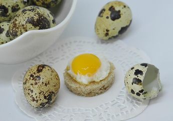 Rajin Makan Telur Puyuh Setiap Hari Pasti Langsung Rasakan Perubahan ini, Manfaatnya Bikin BPJS Jarang Dipakai Lagi!