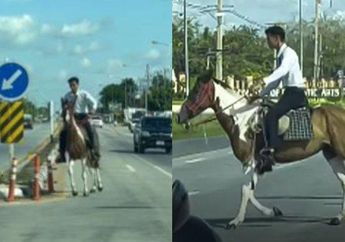 Imbas Harga BBM Melejit Tinggi, Seorang Mahasiswa Pilih Tunggangi Kuda Saat Pergi ke Kampus, Begini Tempat Parkir Peliharaannya Sekaligus Reaksi Para Dosen