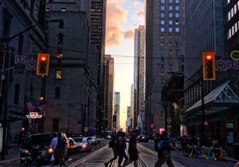 5 Shio Paling Patuh Peraturan Lalu Lintas, Pantang Langgar Rambu-rambu Lalin