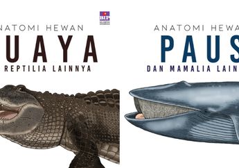 Seri Anatomi Hewan, Ada Apa di Dalam Tubuh Buaya, Paus, Katak hingga Penguin dan Laba-laba?