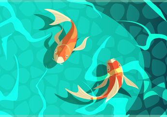 Organ Pernapasan Ikan: Anatomi, Fungsi, dan Contoh Gangguannya