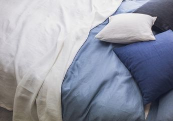 Tidak Sengaja Lihat Bintik Kecil di Kasur, IRT Ini Syok Saat Tahu Apa yang Sebenarnya Terjadi, Ternyata Bisa Bahayakan Nyawa Satu Rumah