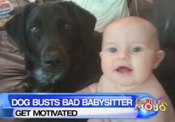 Curiga dengan Perilaku Anjing Peliharaan, Orang Tua Diam-diam Rekam Pengasuh saat Menjaga Anaknya, Syok Tahu Kenyataan ini