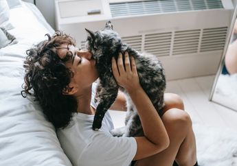 Jangan Sembarangan Mencium Kucing, Bisa Berbahaya untuk Kesehatan! Perhatikan Hal-Hal Ini