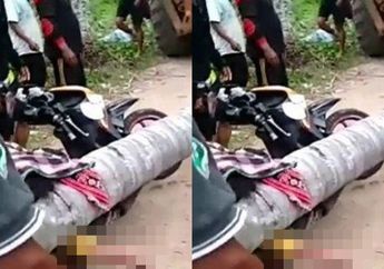 Lewat Jalan Pintas Agar Cepat Sampai ke Rumah, Gadis ini Tewas Tertimpa Pohon Kelapa, 2 Jam Hanya Jadi Tontonan Warga