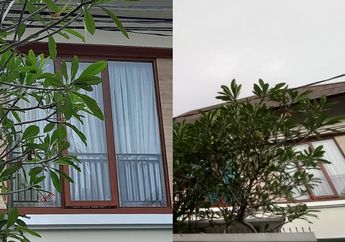 Ditinggal Penghuni, Jendela Rumah Kontrakan Mewah Lesti Kejora Terlihat Tak Terkunci hingga Muncul Jeritan Misterius di Tengah Gerimis