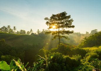 Hutan Konservasi: Kawasan Suaka Alam dan Kawasan Pelestarian Alam, Materi Ilmu Pengetahuan Sosial
