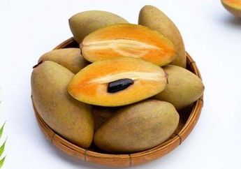 Jarang Orang Tahu, Ternyata Ini Manfaat Tersembunyi Buah Sawo untuk Penderita Hipertensi, Efeknya pada Tubuh Gak Main-main