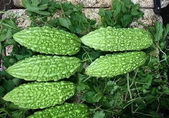 Masak Pare Tidak Akan Pahit, Ibu-ibu Hanya Perlu Tambahkan Bumbu Dapur ini, Dijamin Satu Keluarga Pasti Suka!