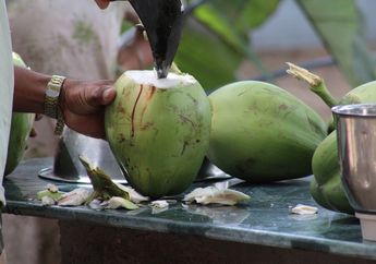 Arti Mimpi Buah Kelapa Memiliki Tafsir yang Begitu Penting, Pertanda Baik atau Buruk?