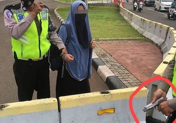 Kronologi Wanita Terobos Paksa Istana Negara dan Todongkan Pistol ke Paspamres, Sempat Berjalan dari Trotoar Hamoni